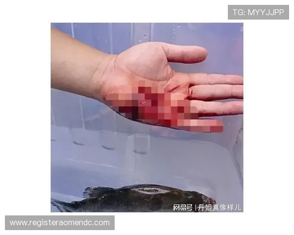 博鱼真人官方带你感受最真实的线上真人娱乐体验安全可靠全过程揭秘