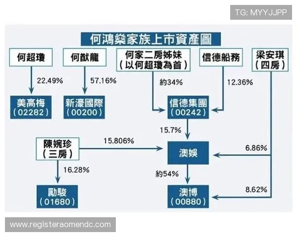 新濠国际发展有限公司在全球经济环境变化下的应对措施与风险控制策略