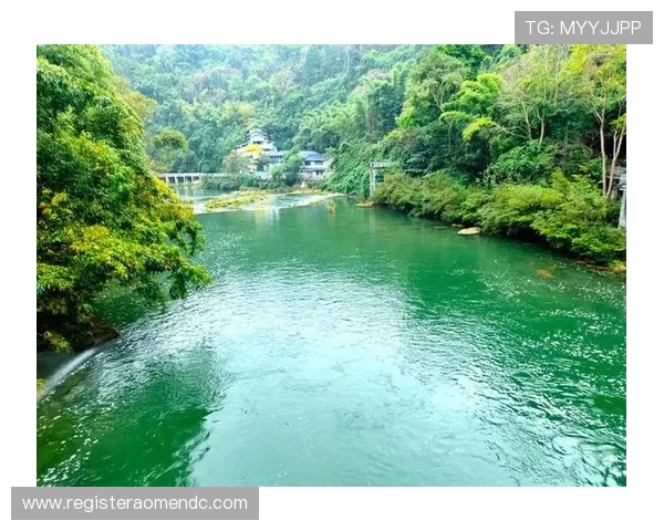 水晶宫俱乐部官网注册流程详解与使用指南
