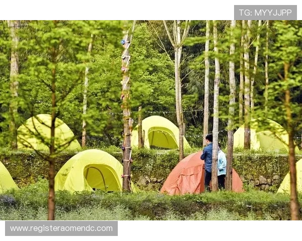澳門新濠天地休闲娱乐项目全攻略，让您的假期丰富多彩充满欢笑